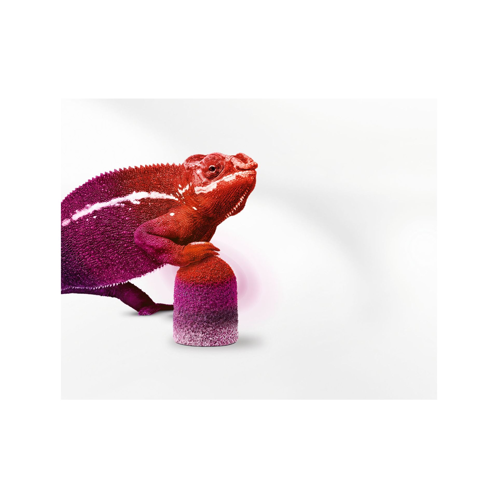 LUKAS SK THERMO CAP 10 mm round (10pcs) - Image 2